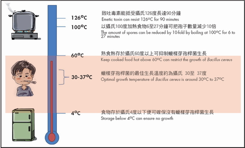 Temperature control to restrict the growth of Bacillus cereus 
